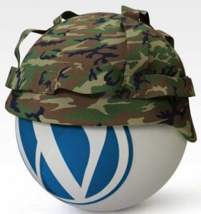 problemas wordpress 3.5